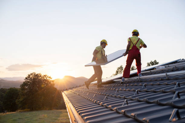 Best Storm Damage Roof Repair  in Elkins, WV