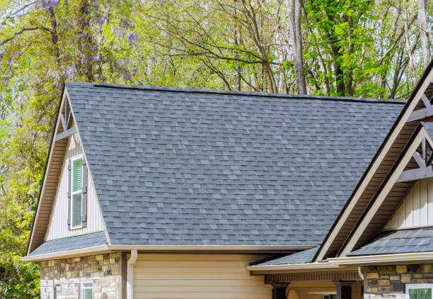 Best Sheet Metal Roofing  in Elkins, WV